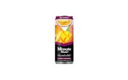 MINUTE MAID MULTIFRUIT 24X33CL