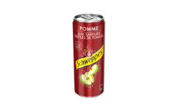 SCHWEPPES POMME 24X33CL