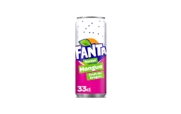 FANTA MANGUE FRUIT DU DRAGON 24x33CL